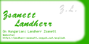 zsanett landherr business card